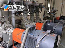 熱電廠脫硫泵工礦