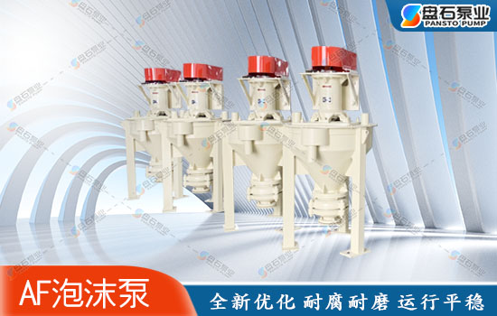 石家莊泵業(yè):浮選泡沫泵 石家莊泵業(yè):浮選泡沫泵